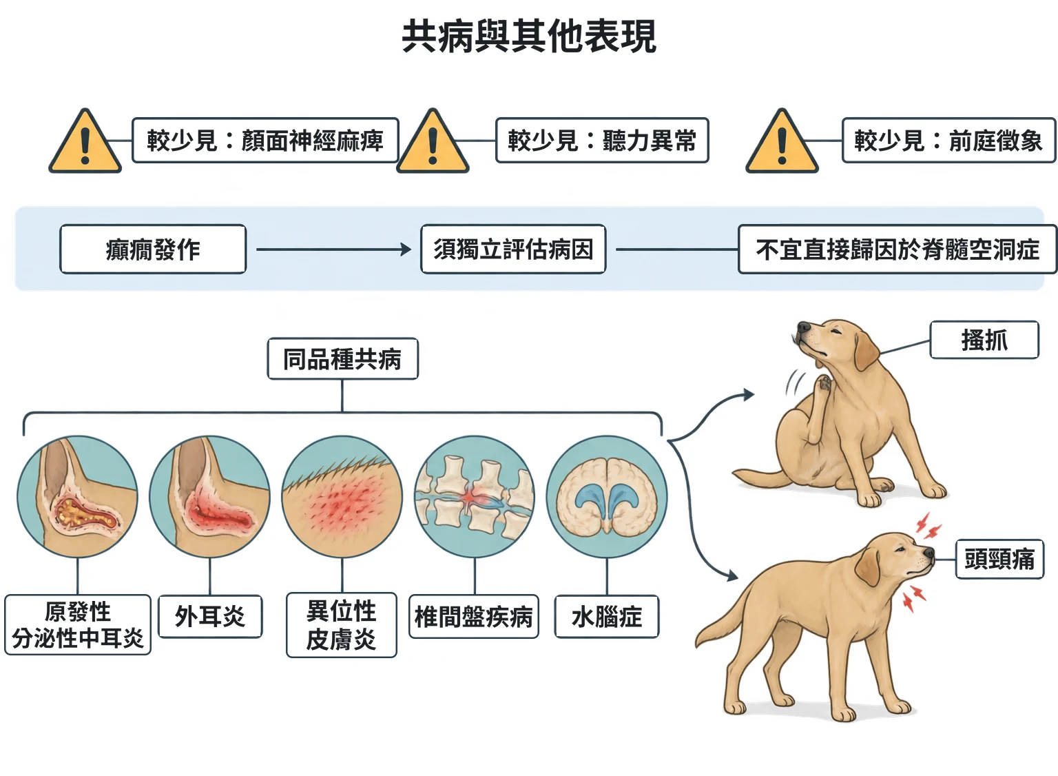 共病與其他表現教學插圖