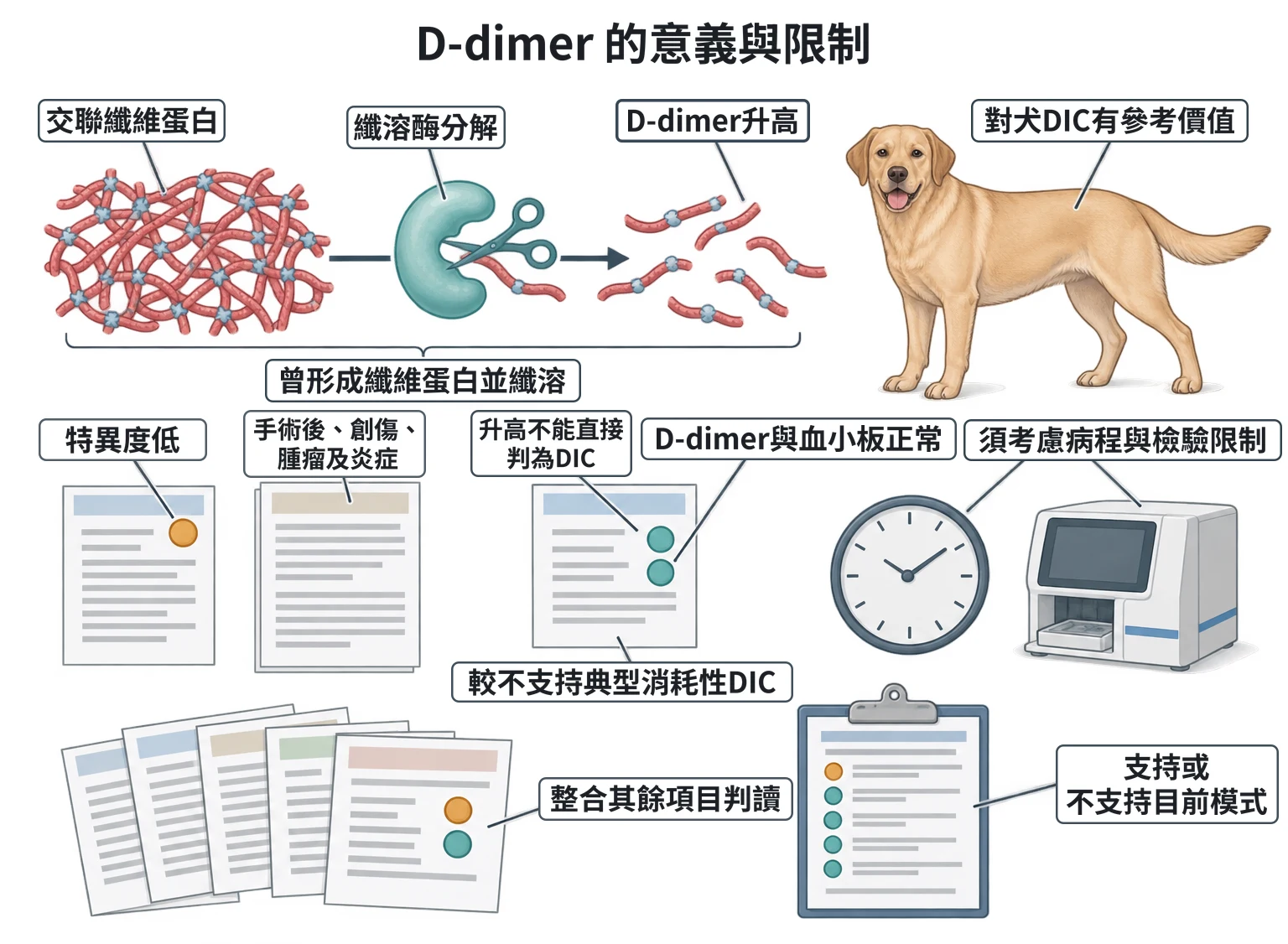 D-dimer 的意義與限制教學插圖