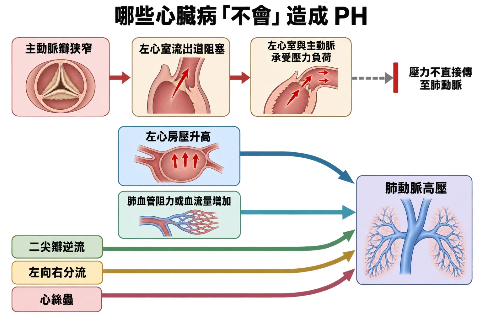 哪些心臟病「不會」造成 PH教學插圖