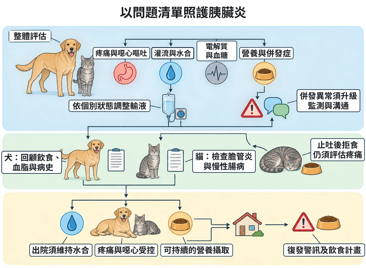 以問題清單照護胰臟炎教學插圖
