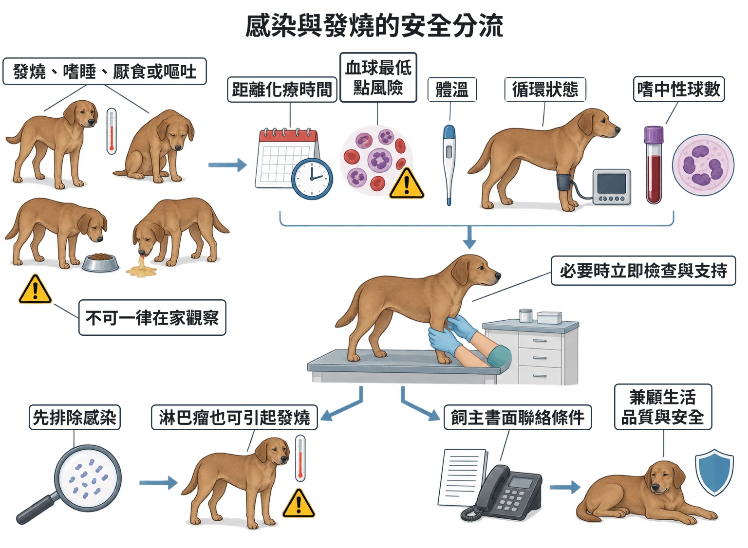感染與發燒的安全分流教學插圖