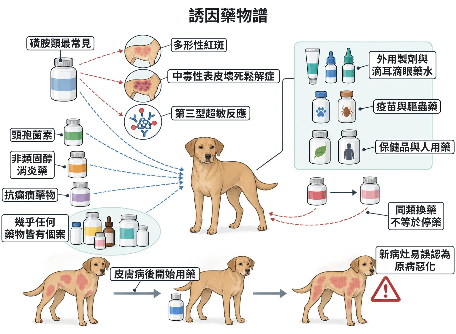誘因藥物譜教學插圖