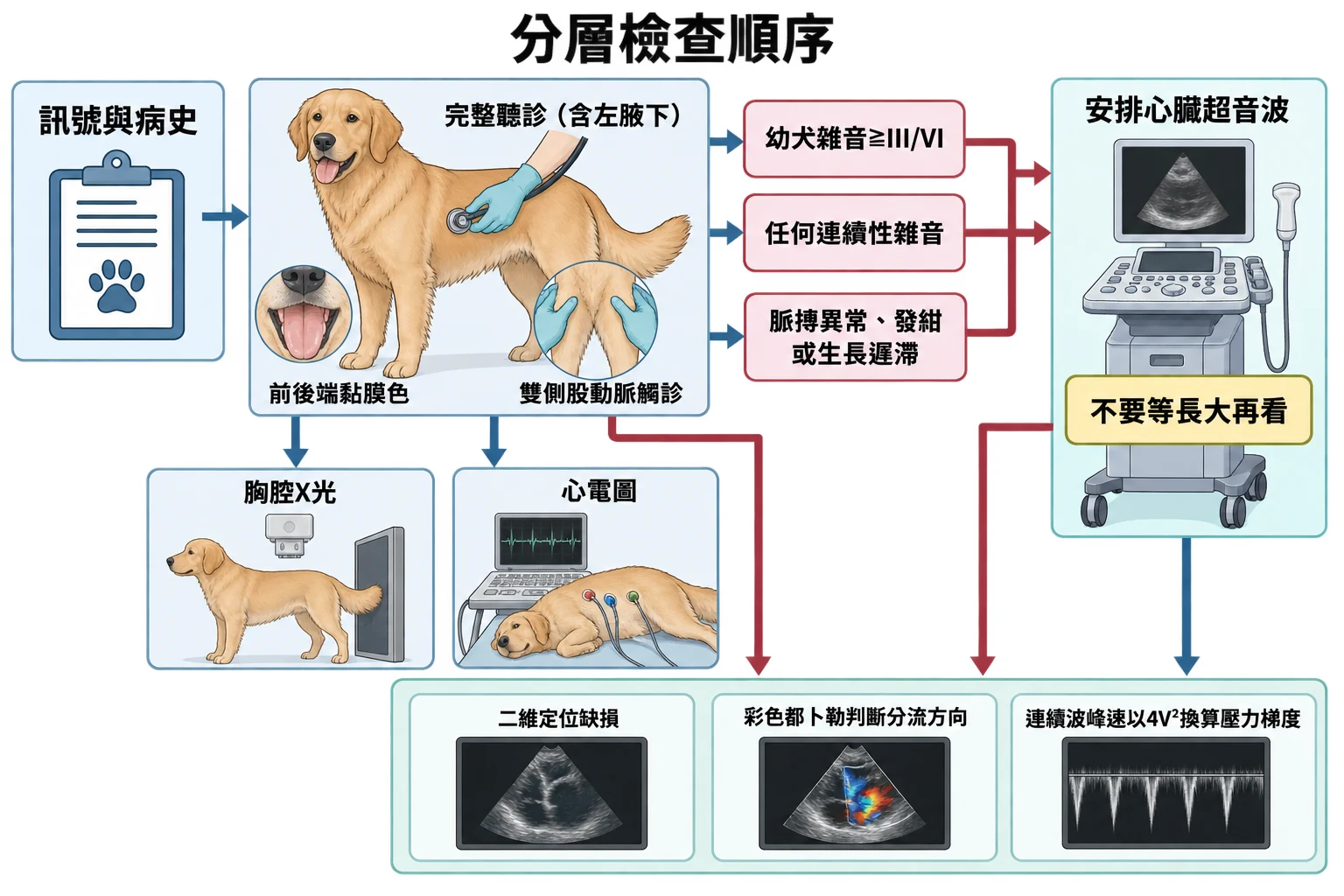 分層檢查順序教學插圖