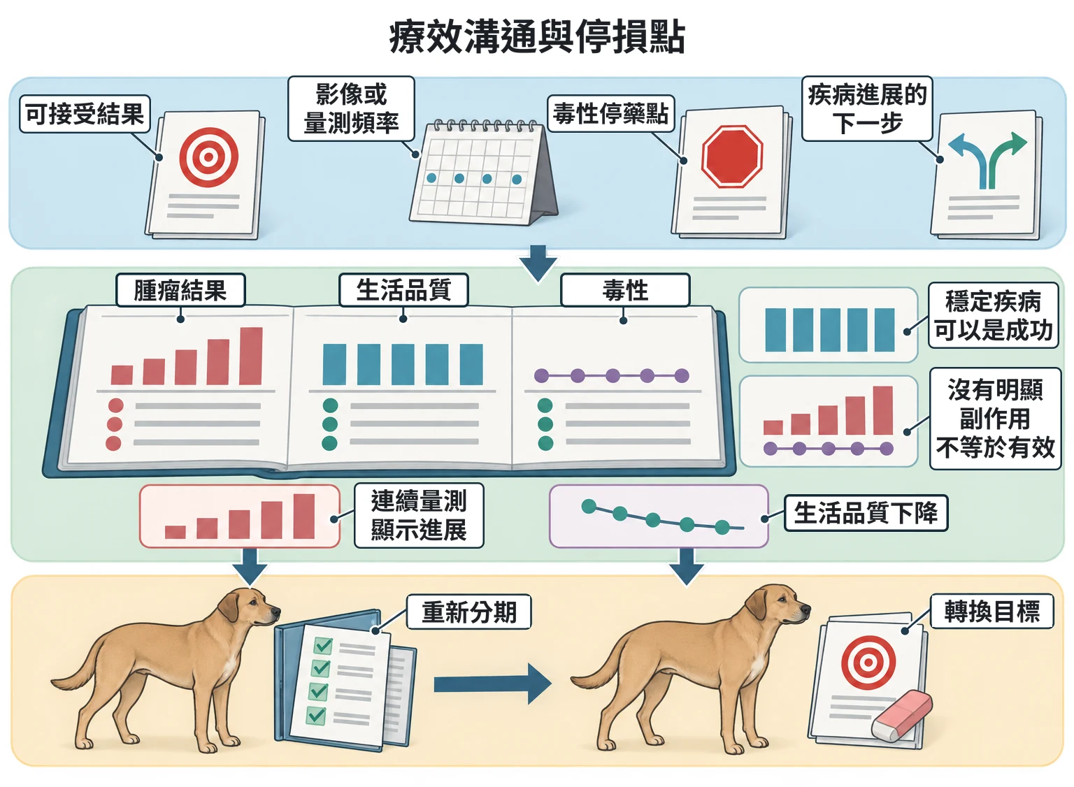 療效溝通與停損點教學插圖