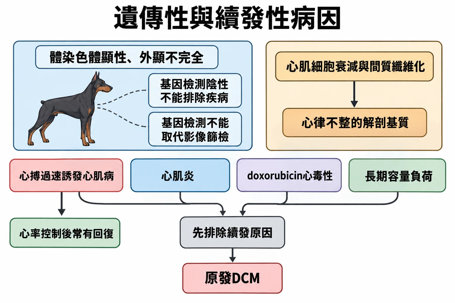 遺傳性與續發性病因教學插圖