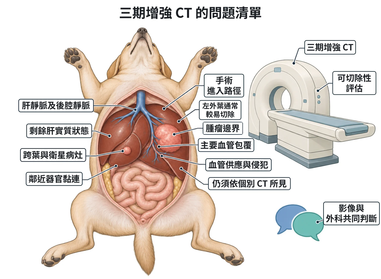 三期增強 CT 的問題清單教學插圖