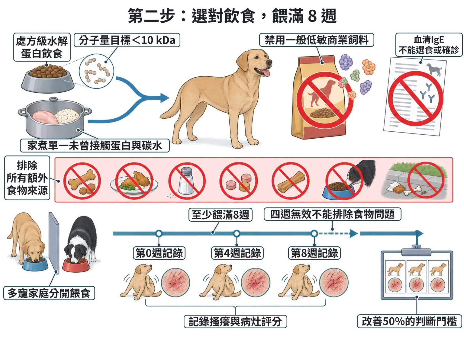 第二步:選對飲食,餵滿 8 週教學插圖