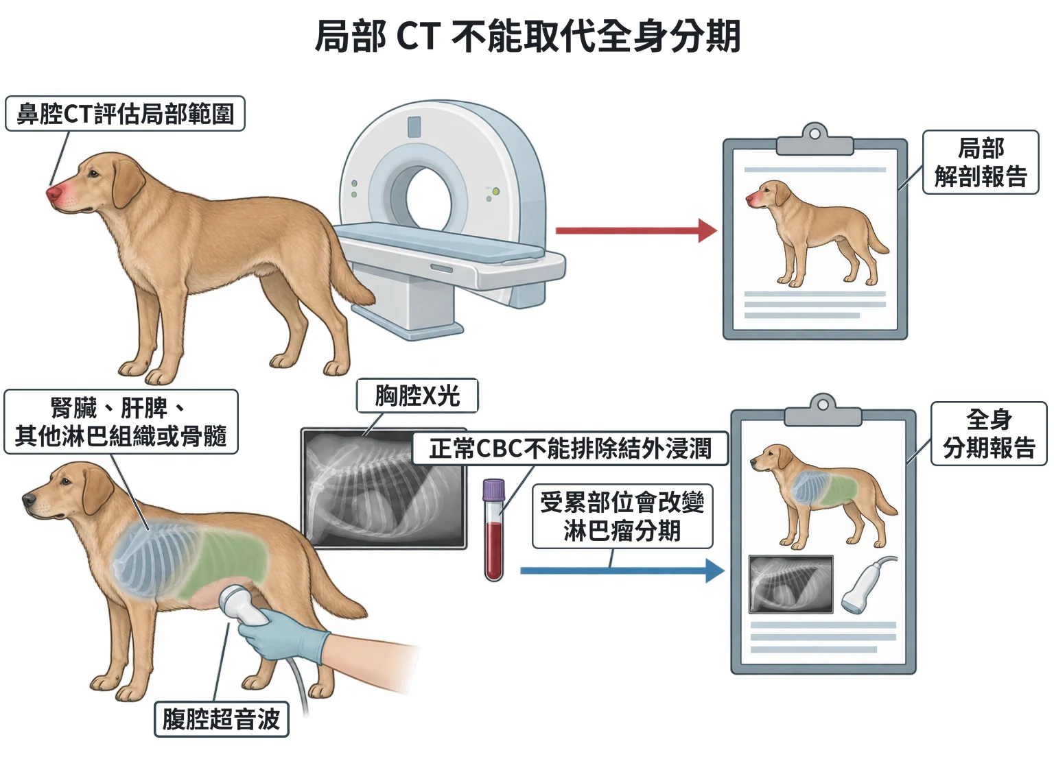 局部 CT 不能取代全身分期教學插圖