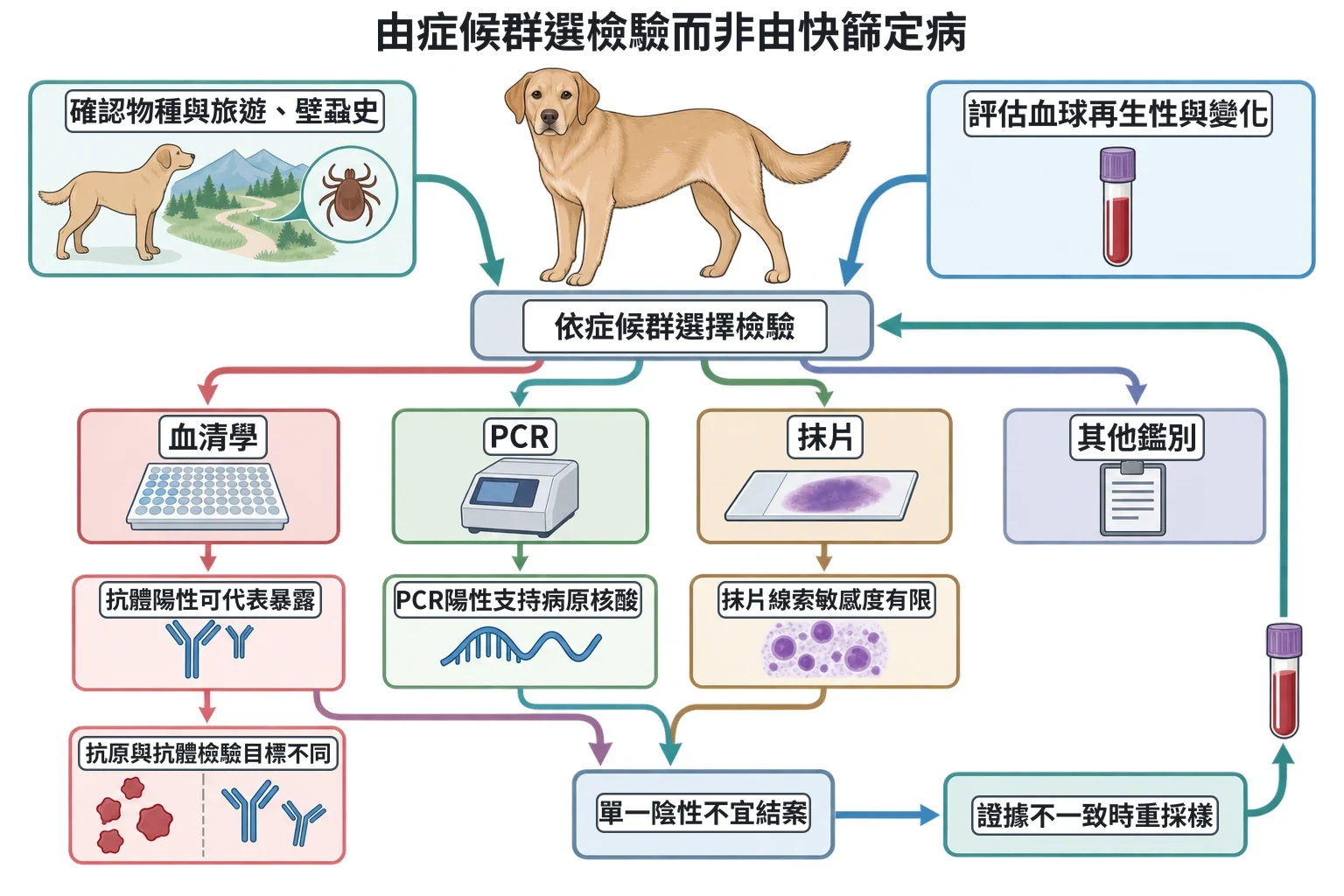 由症候群選檢驗而非由快篩定病教學插圖