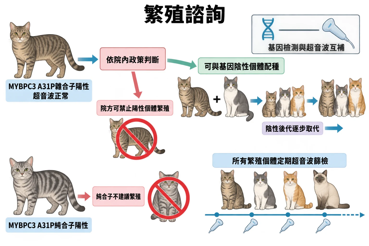 繁殖諮詢教學插圖