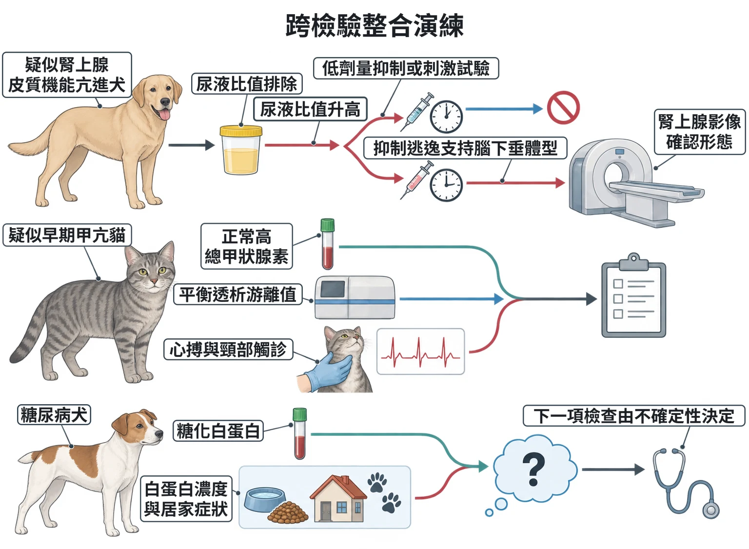 跨檢驗整合演練教學插圖