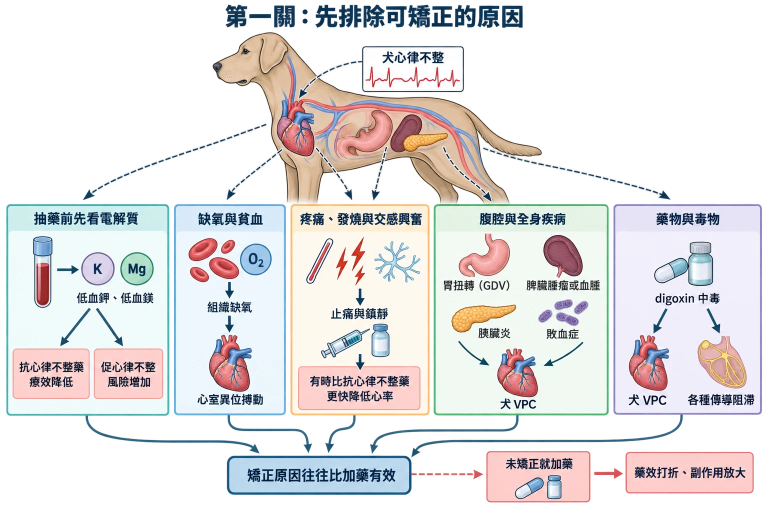 第一關:先排除可矯正的原因教學插圖