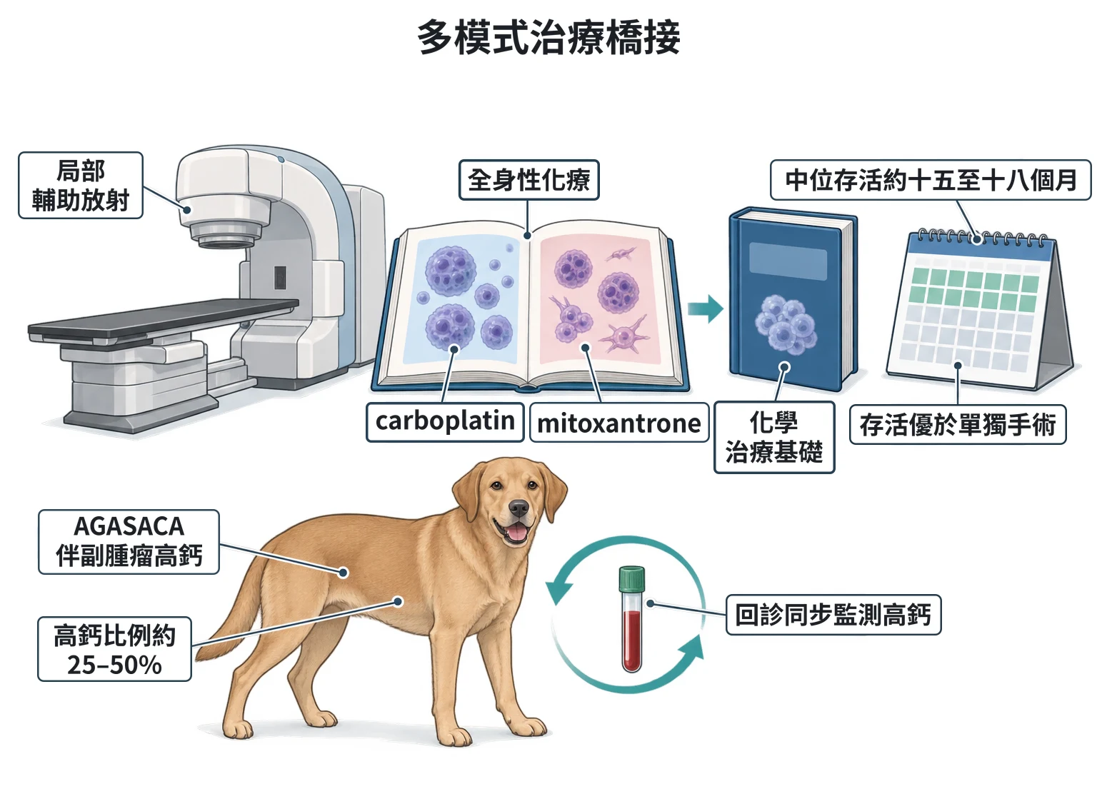 多模式治療橋接教學插圖