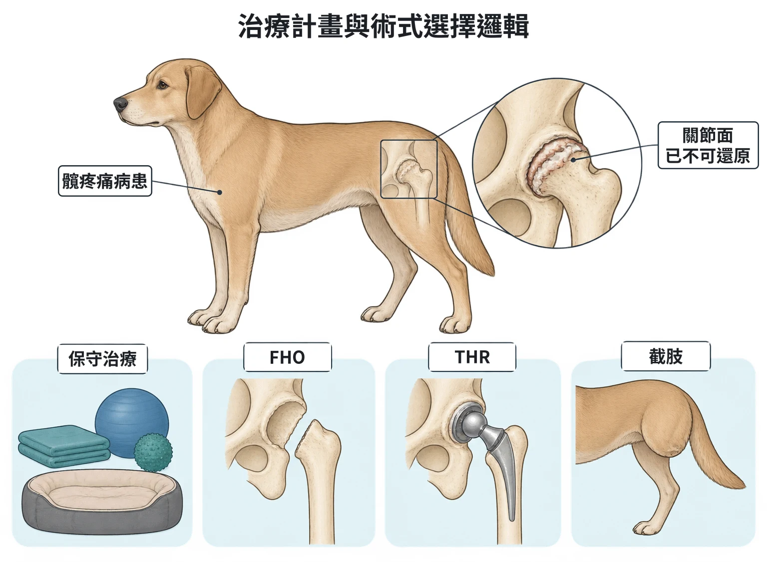 治療計畫與術式選擇邏輯教學插圖