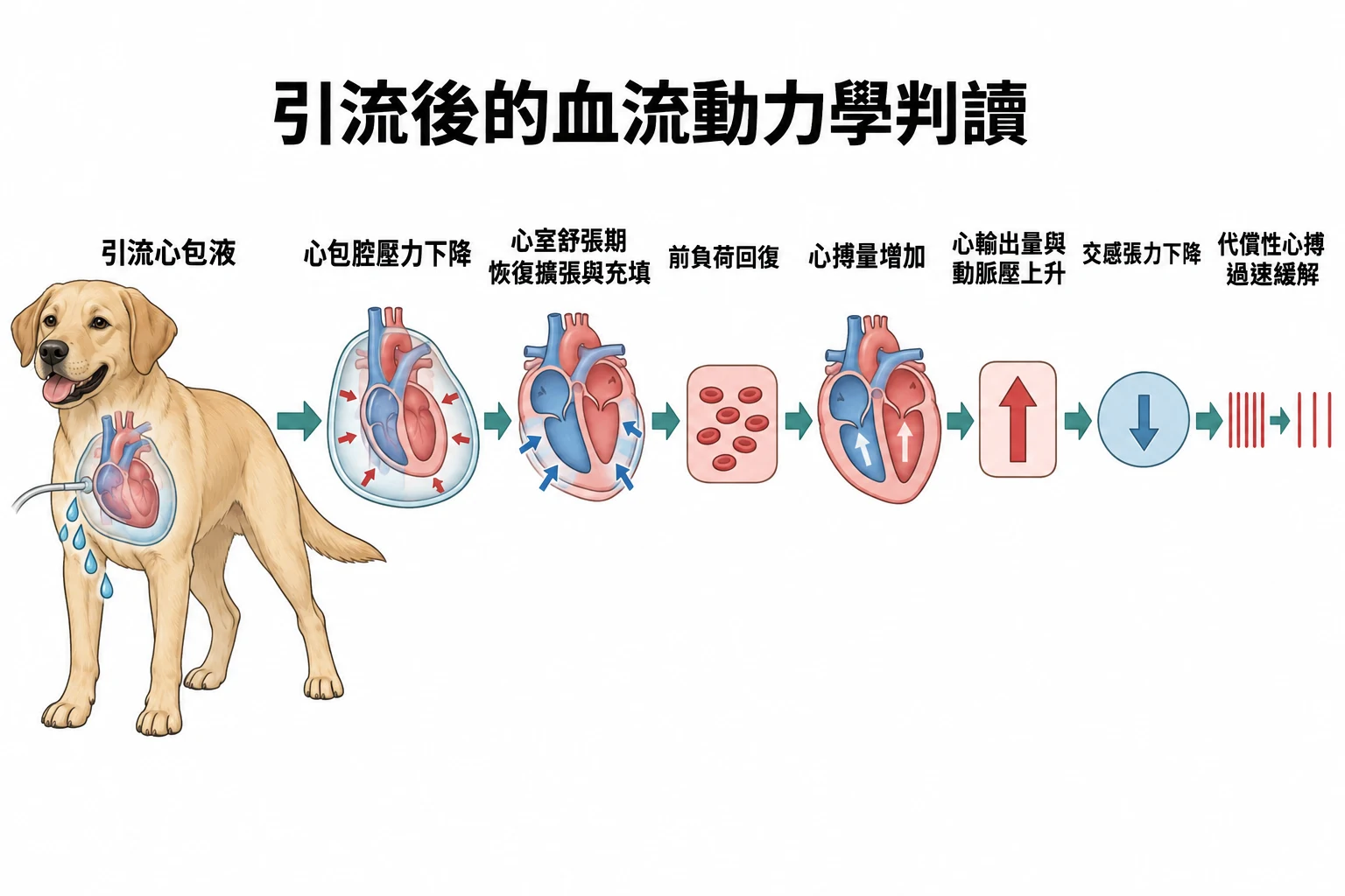 引流後的血流動力學判讀教學插圖