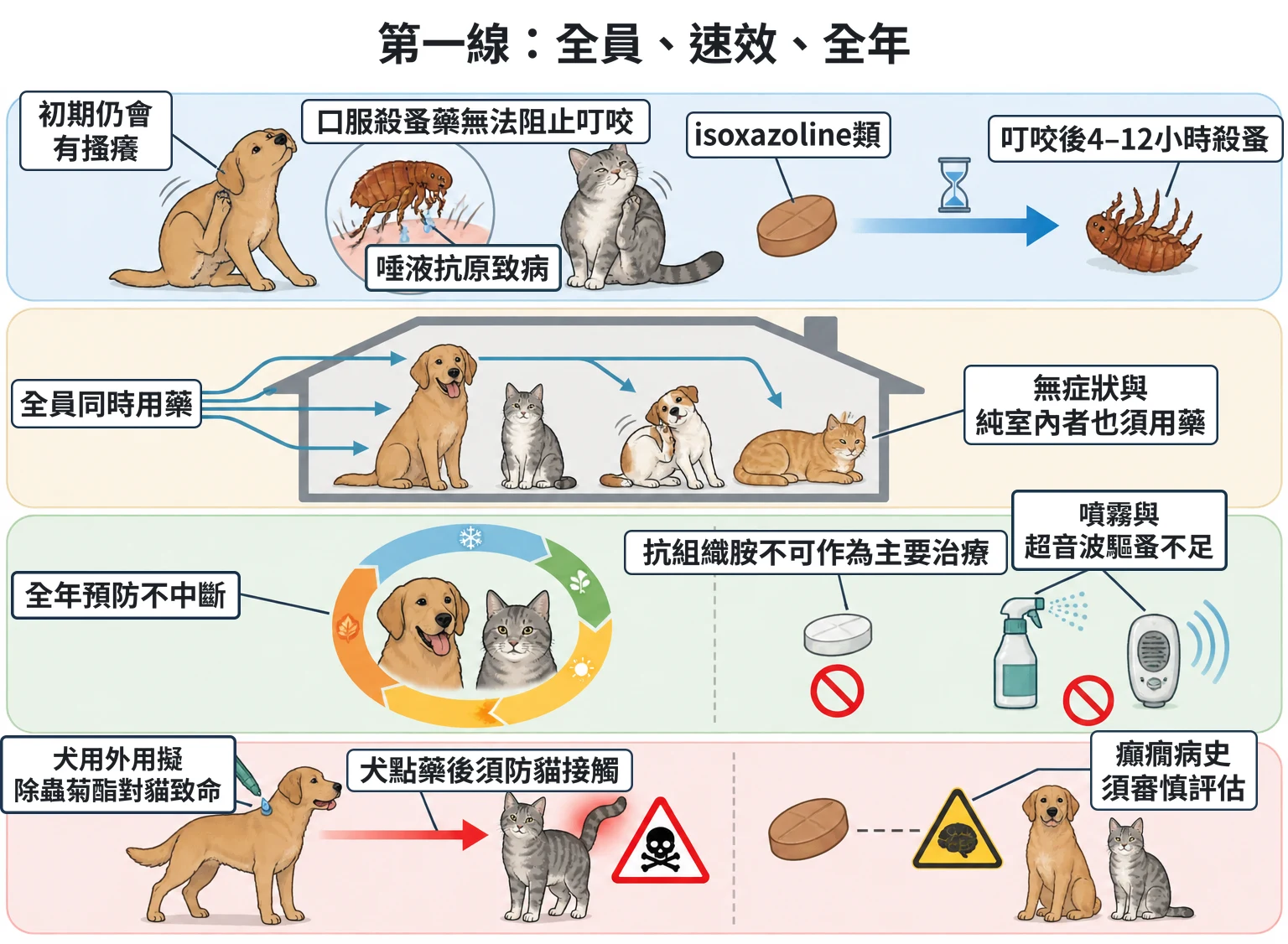 第一線:全員、速效、全年教學插圖