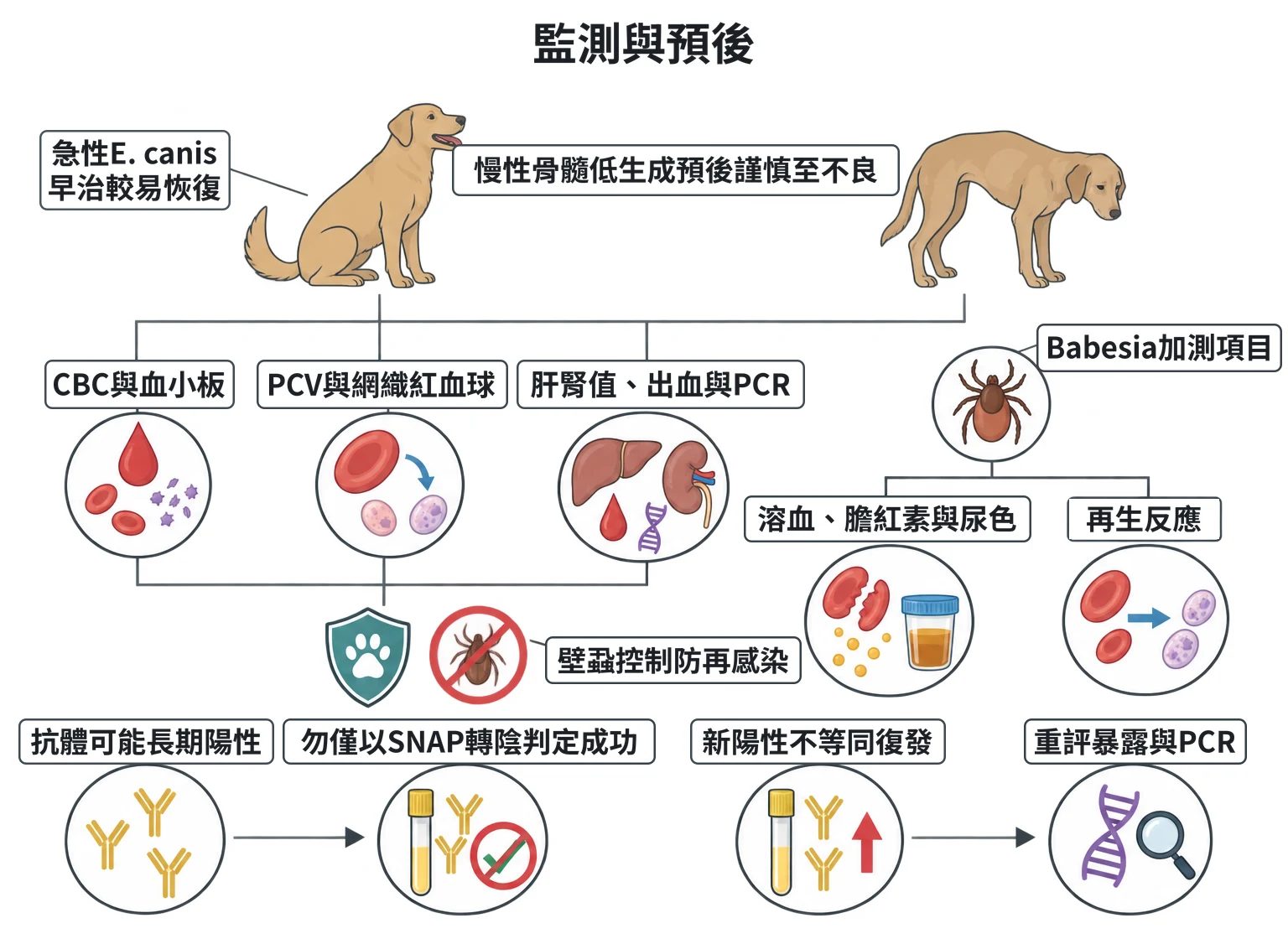 監測與預後教學插圖