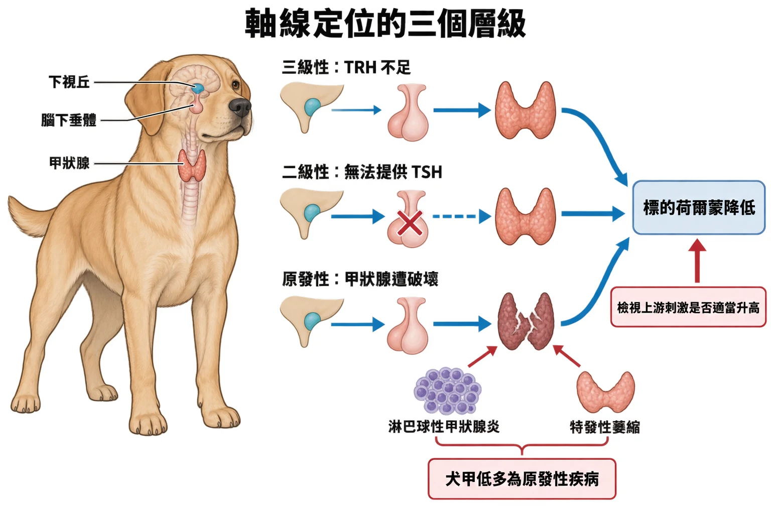 軸線定位的三個層級教學插圖