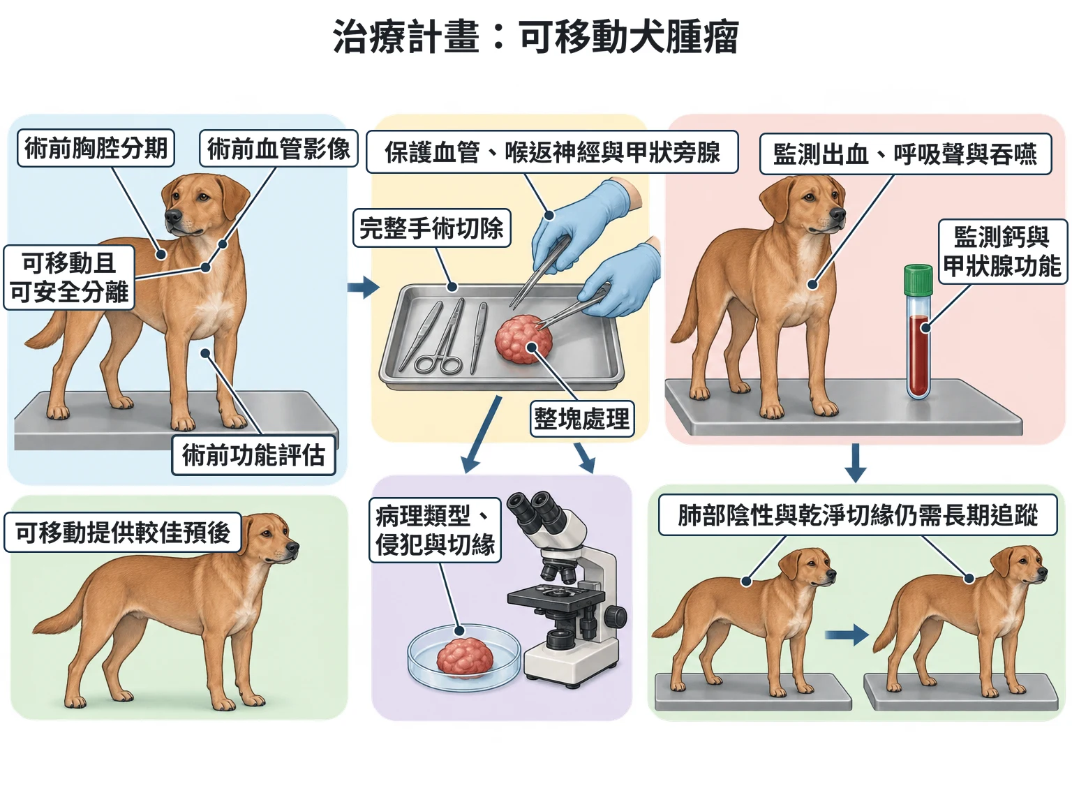 治療計畫:可移動犬腫瘤教學插圖