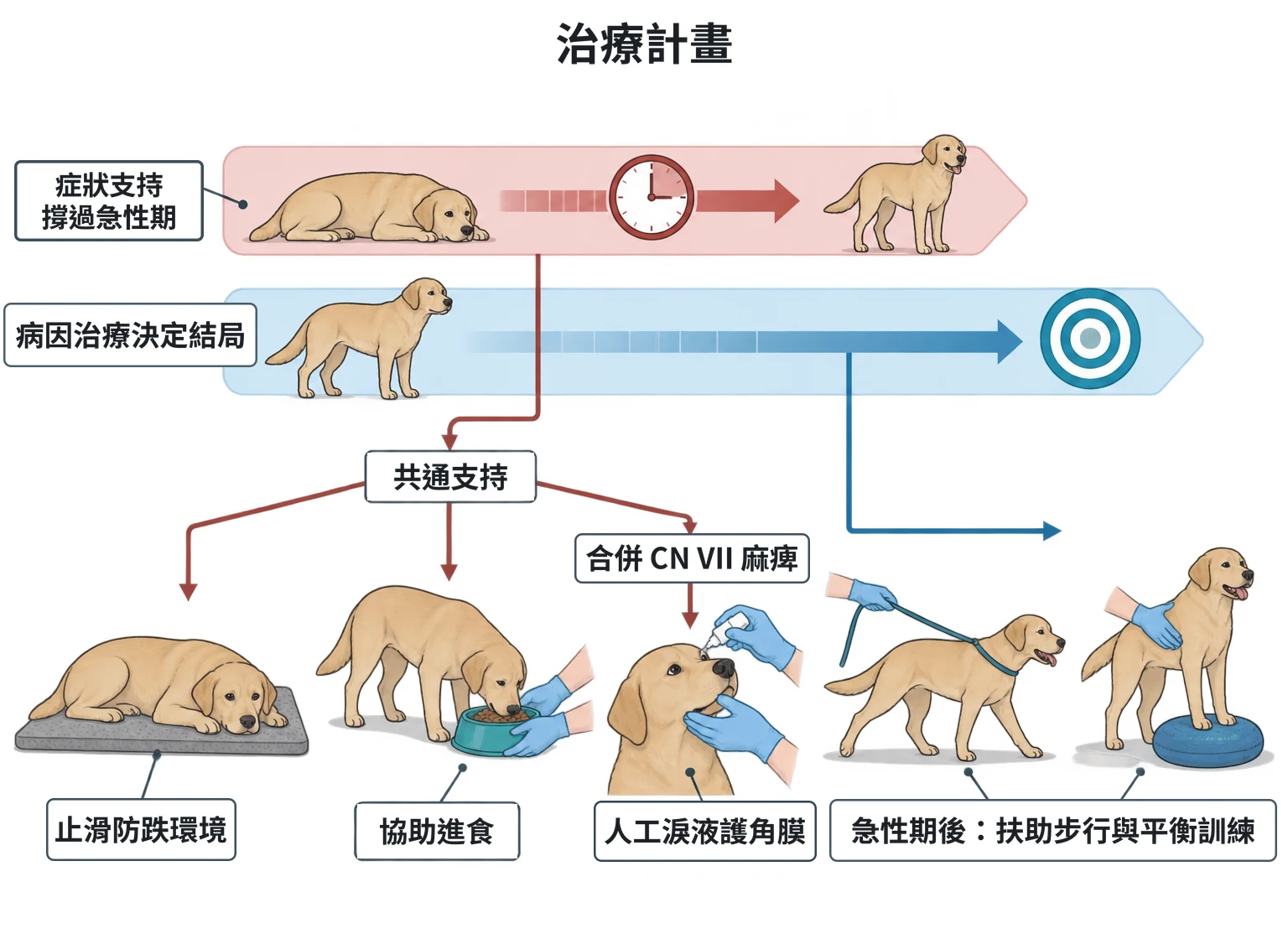 治療計畫教學插圖