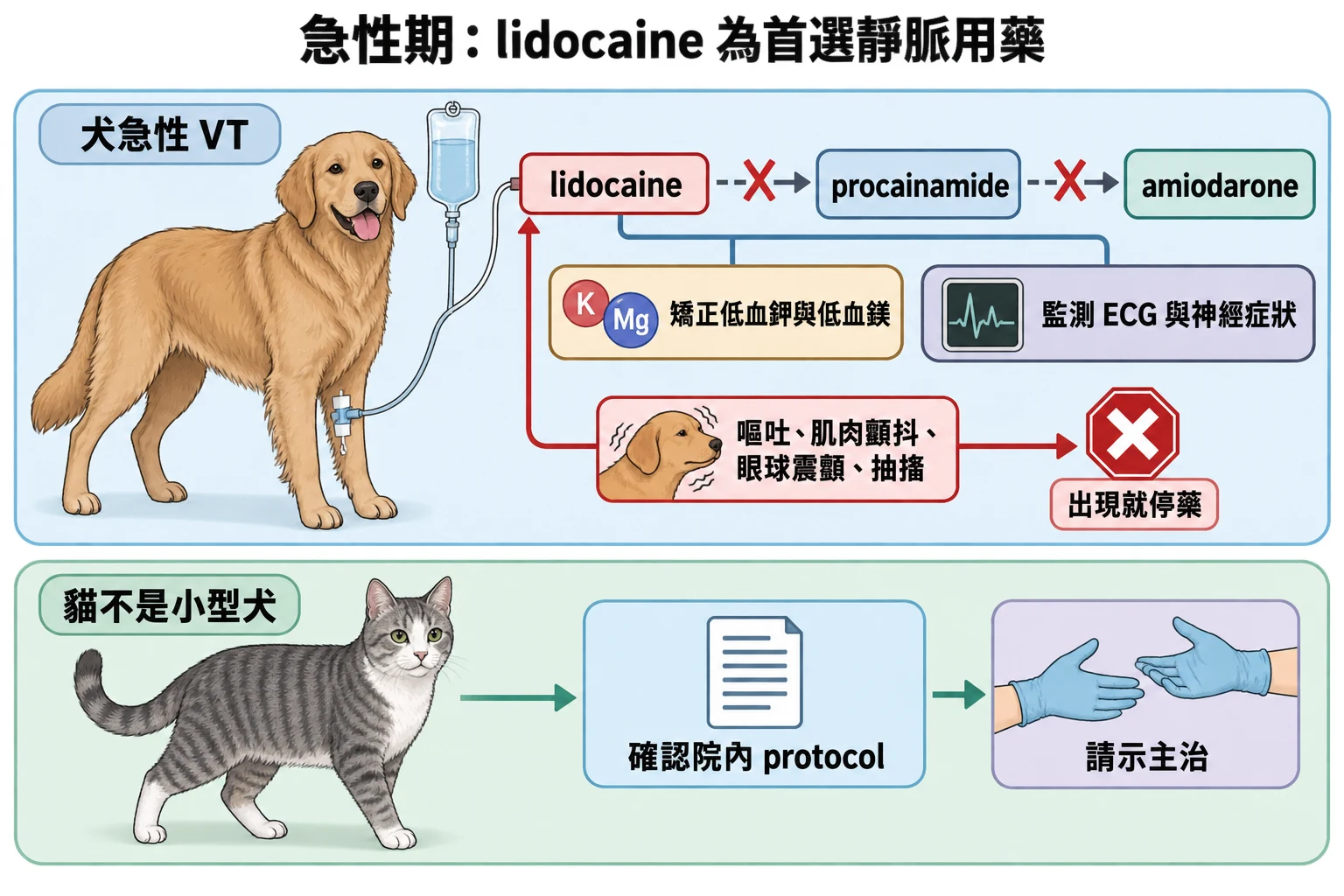 急性期:lidocaine 為首選靜脈用藥教學插圖