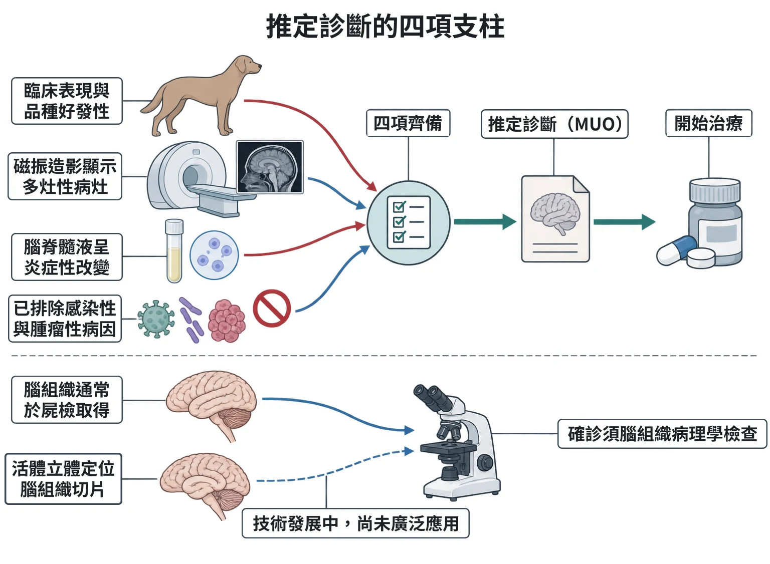 推定診斷的四項支柱教學插圖