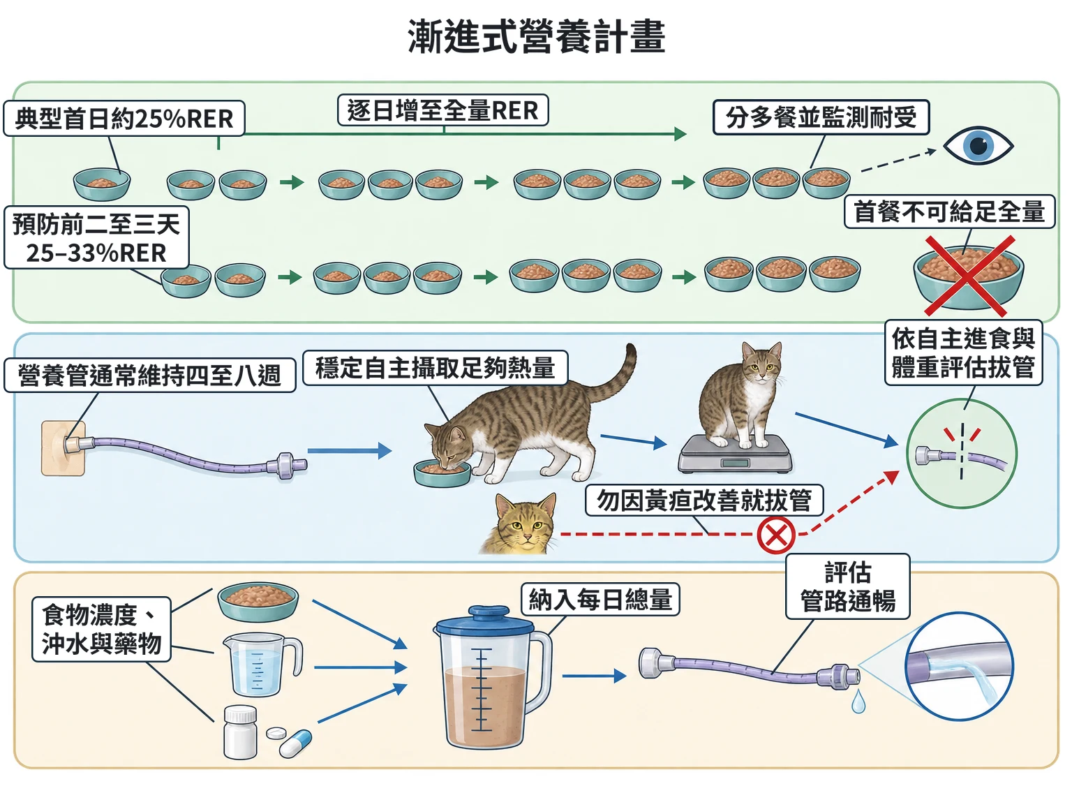 漸進式營養計畫教學插圖