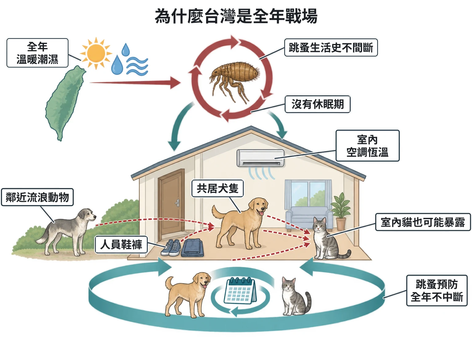 為什麼台灣是全年戰場教學插圖