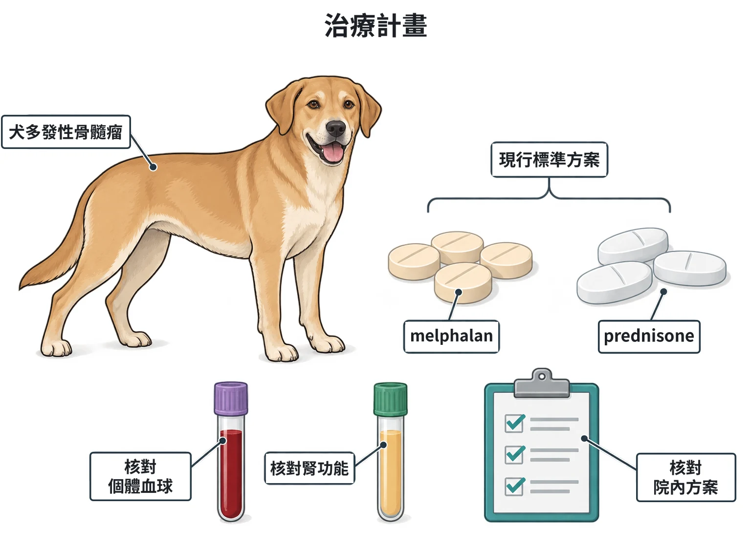 治療計畫教學插圖