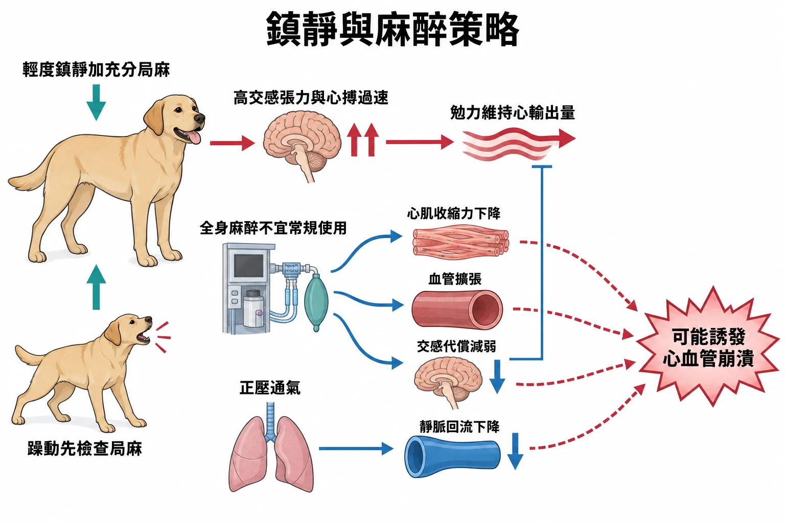鎮靜與麻醉策略教學插圖