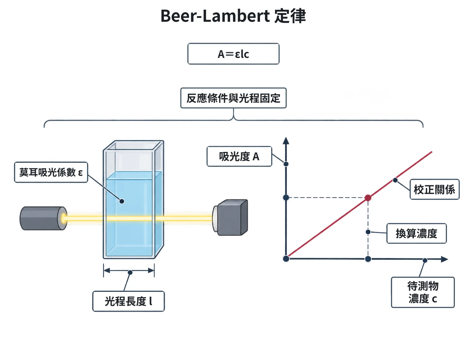 Beer-Lambert 定律教學插圖