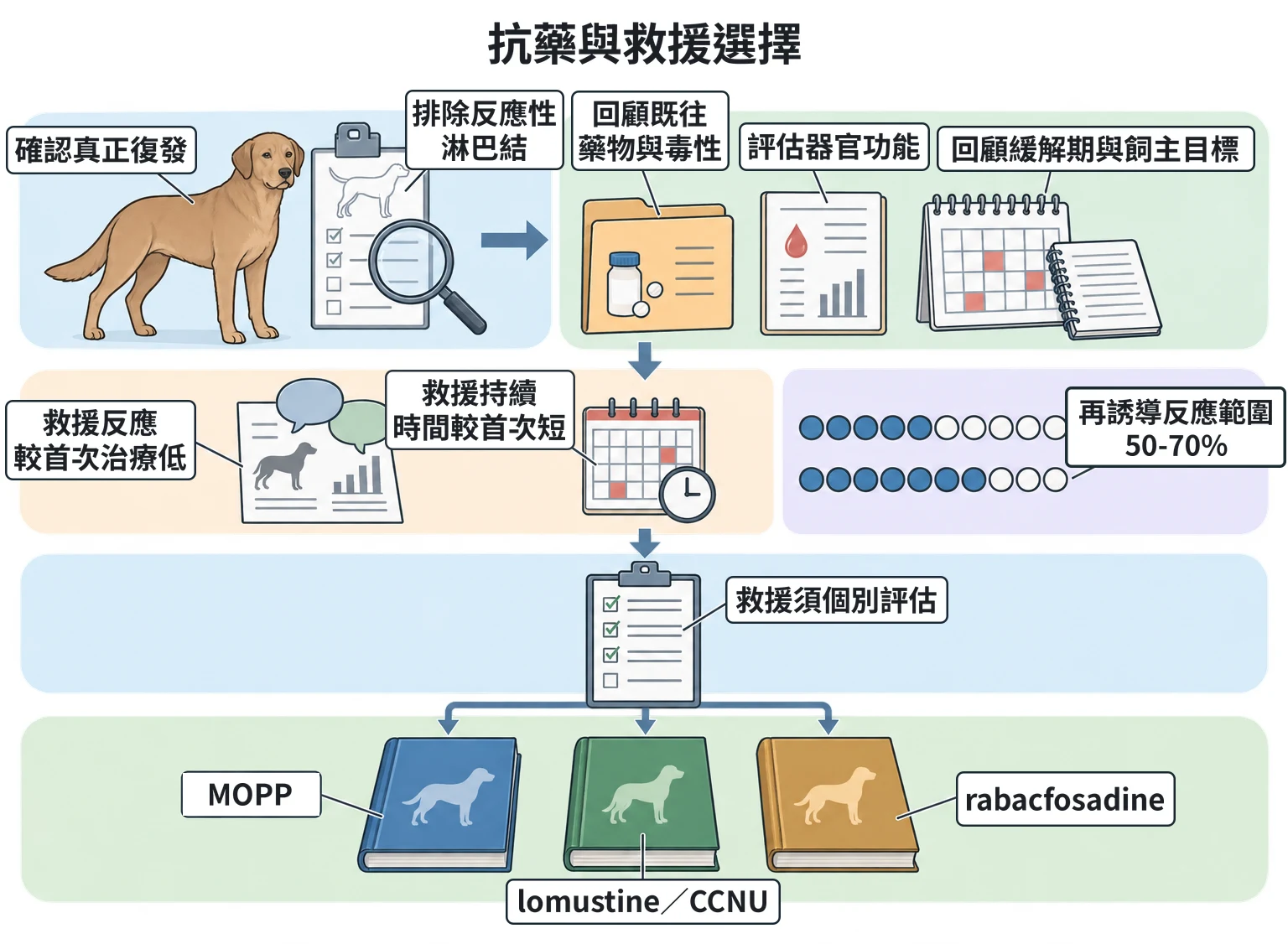 抗藥與救援選擇教學插圖
