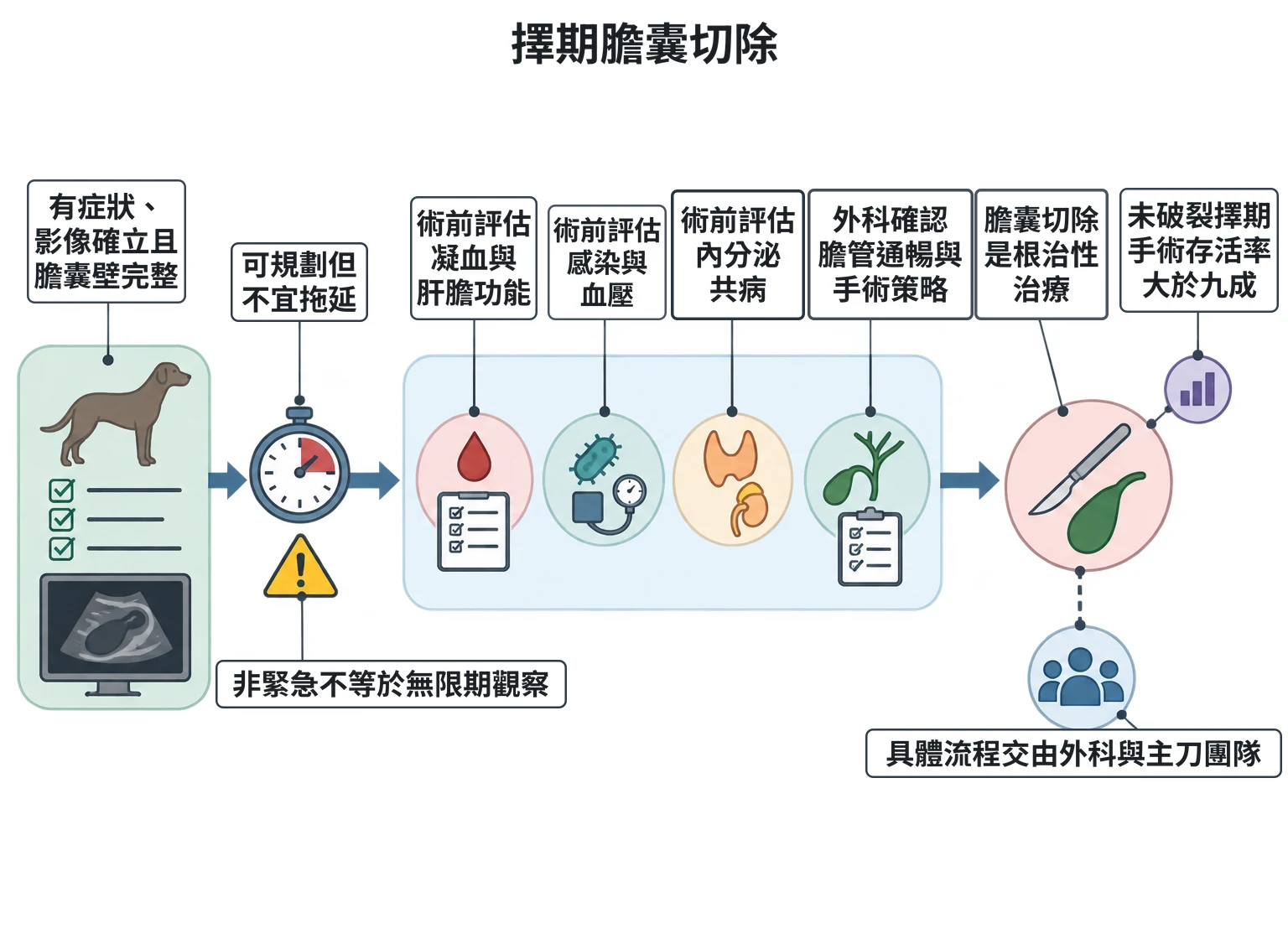 擇期膽囊切除教學插圖
