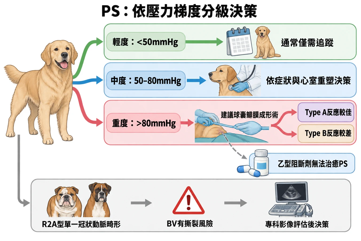 PS:依壓力梯度分級決策教學插圖