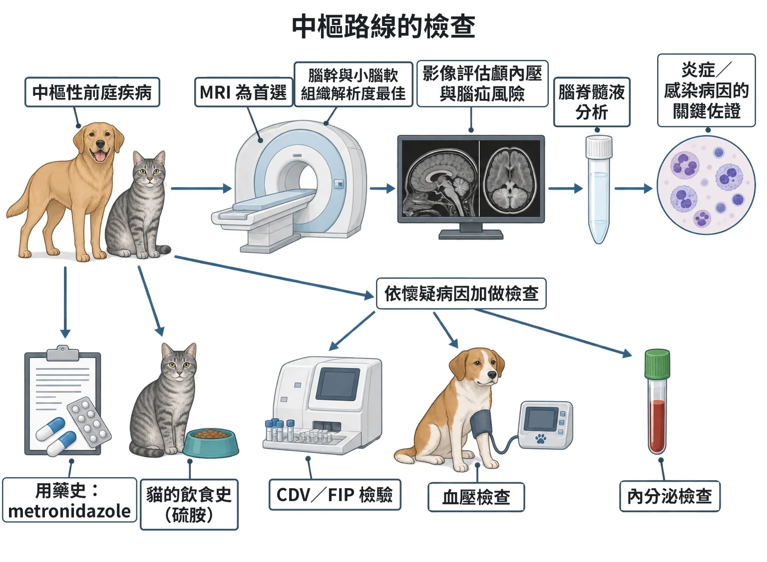 中樞路線的檢查教學插圖