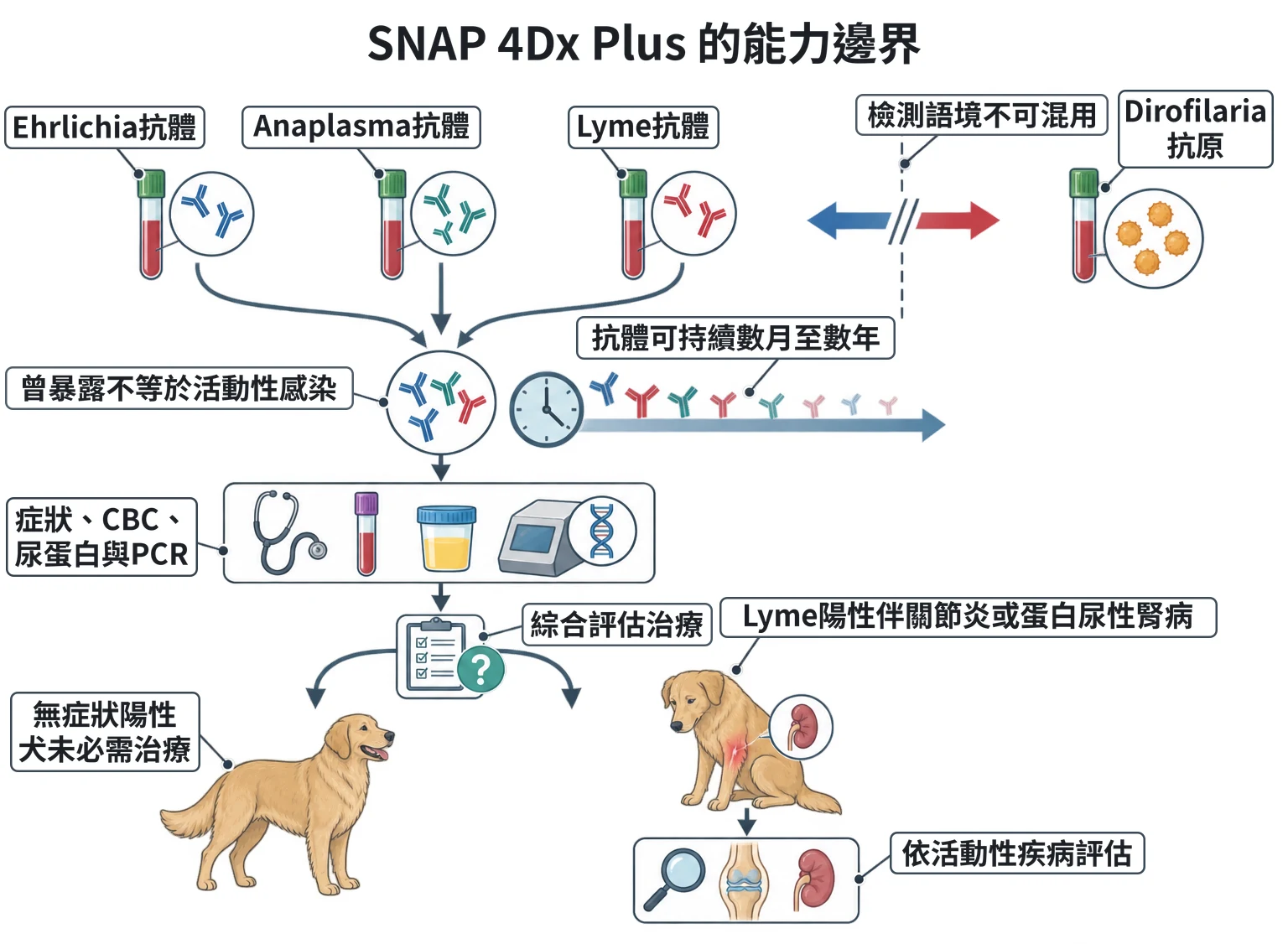 SNAP 4Dx Plus 的能力邊界教學插圖