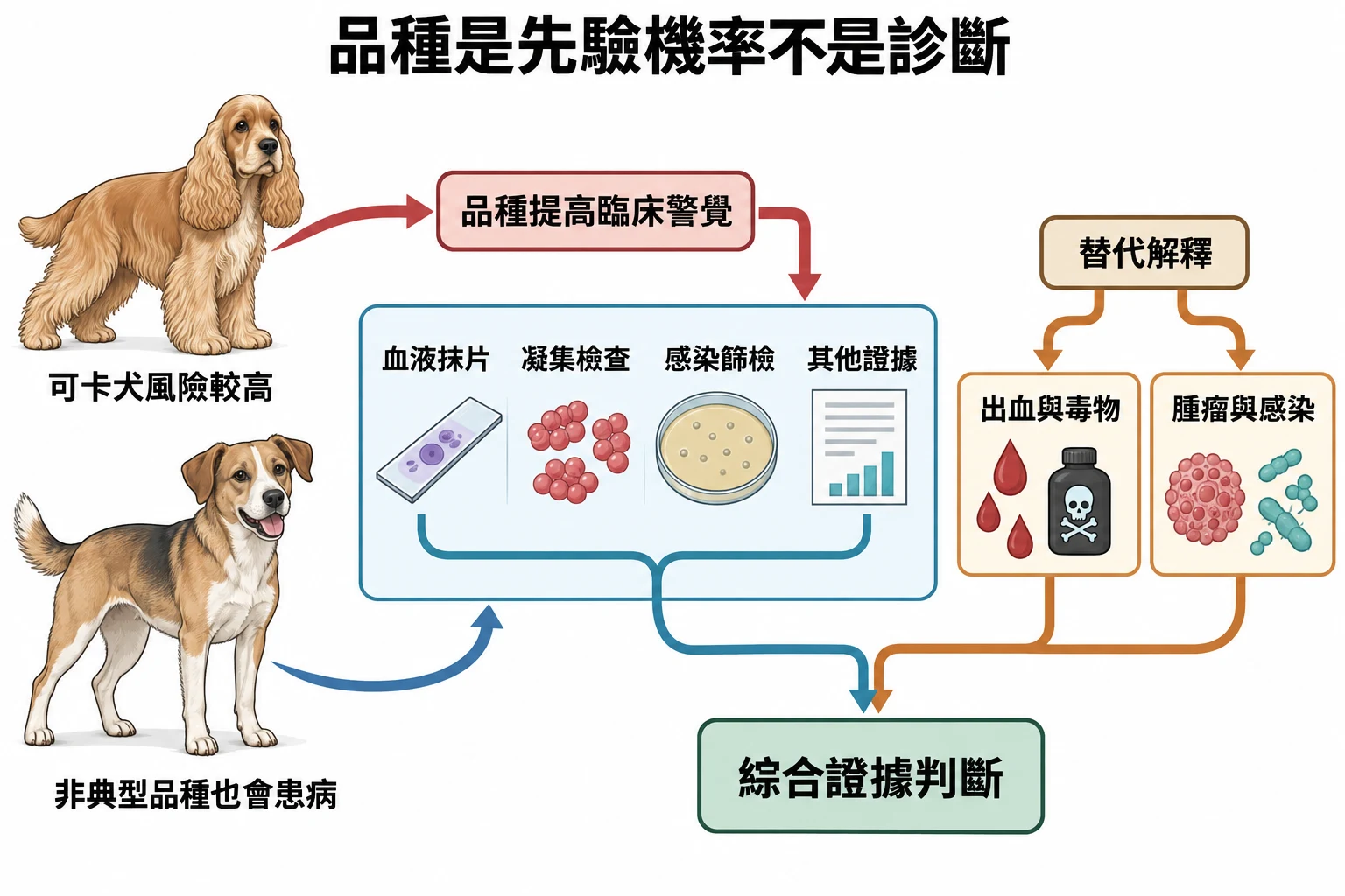 品種是先驗機率不是診斷教學插圖
