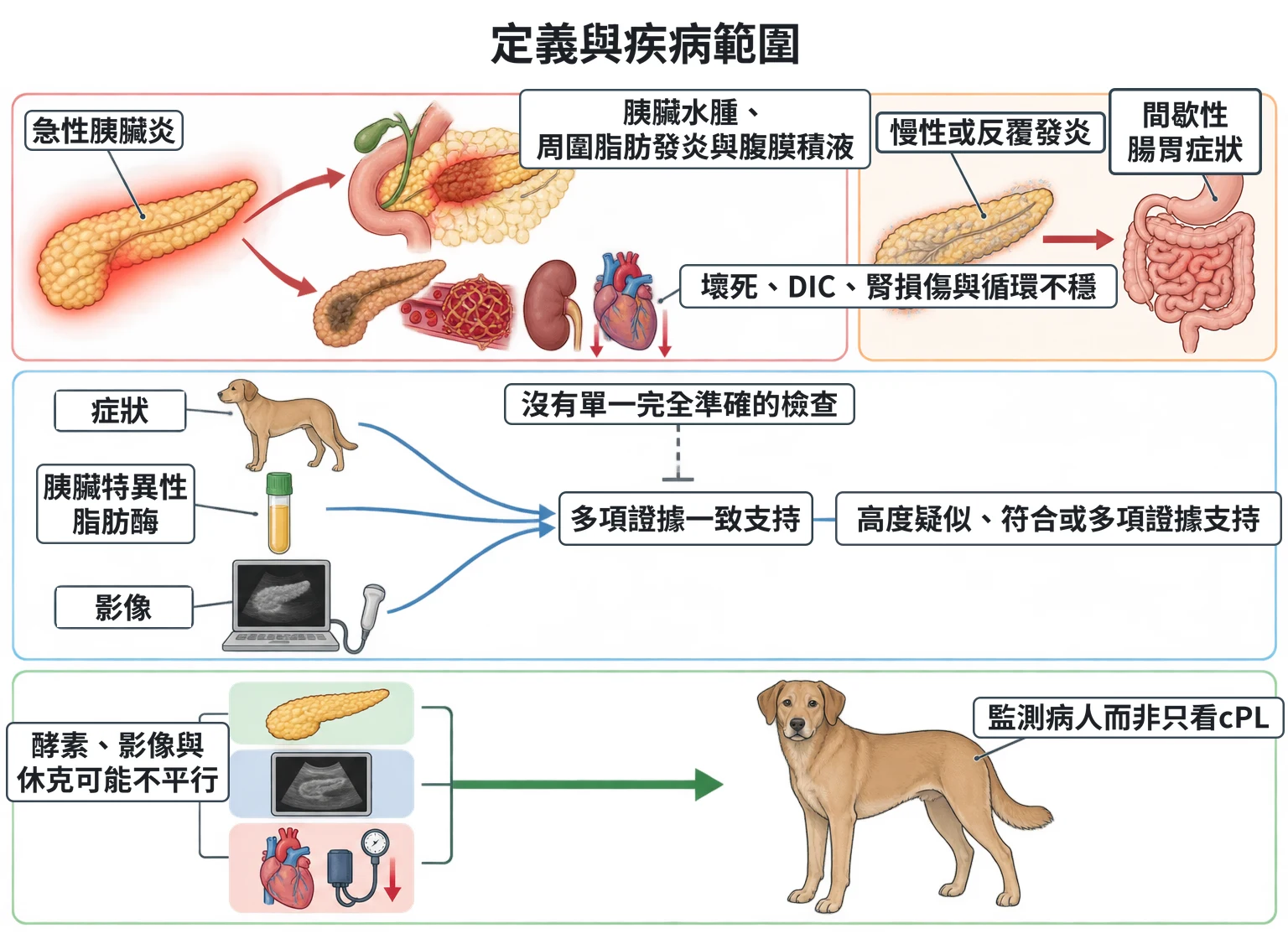 定義與疾病範圍教學插圖