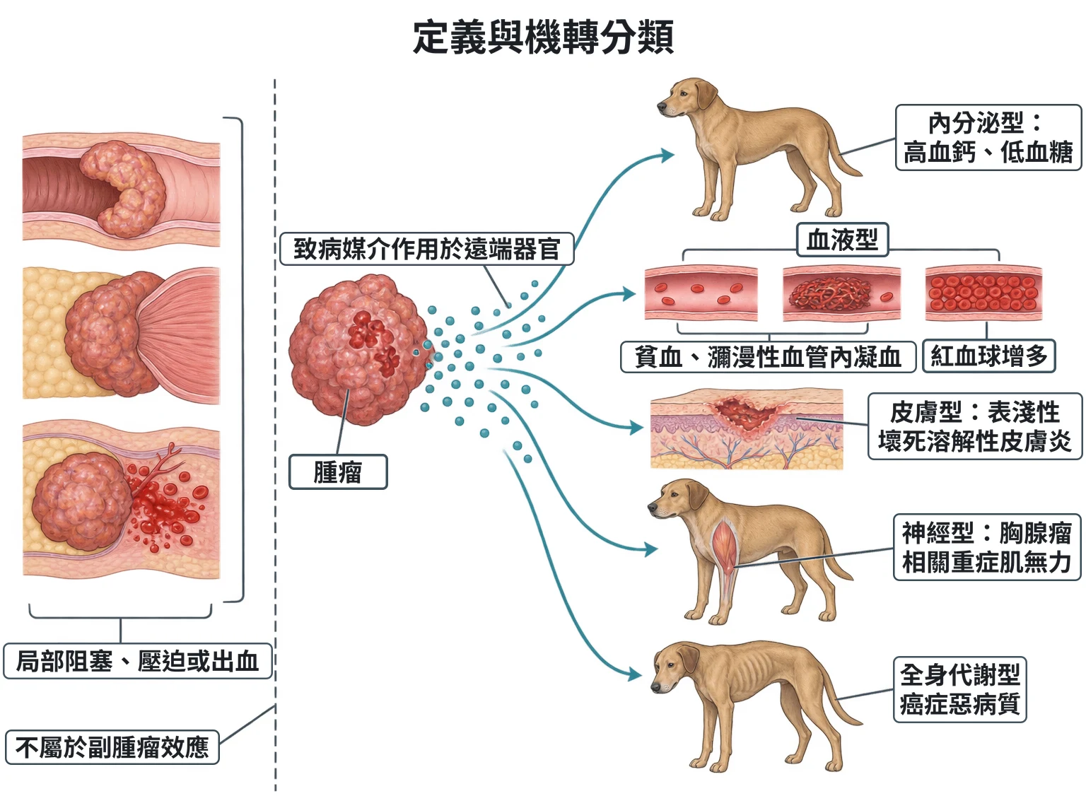 定義與機轉分類教學插圖