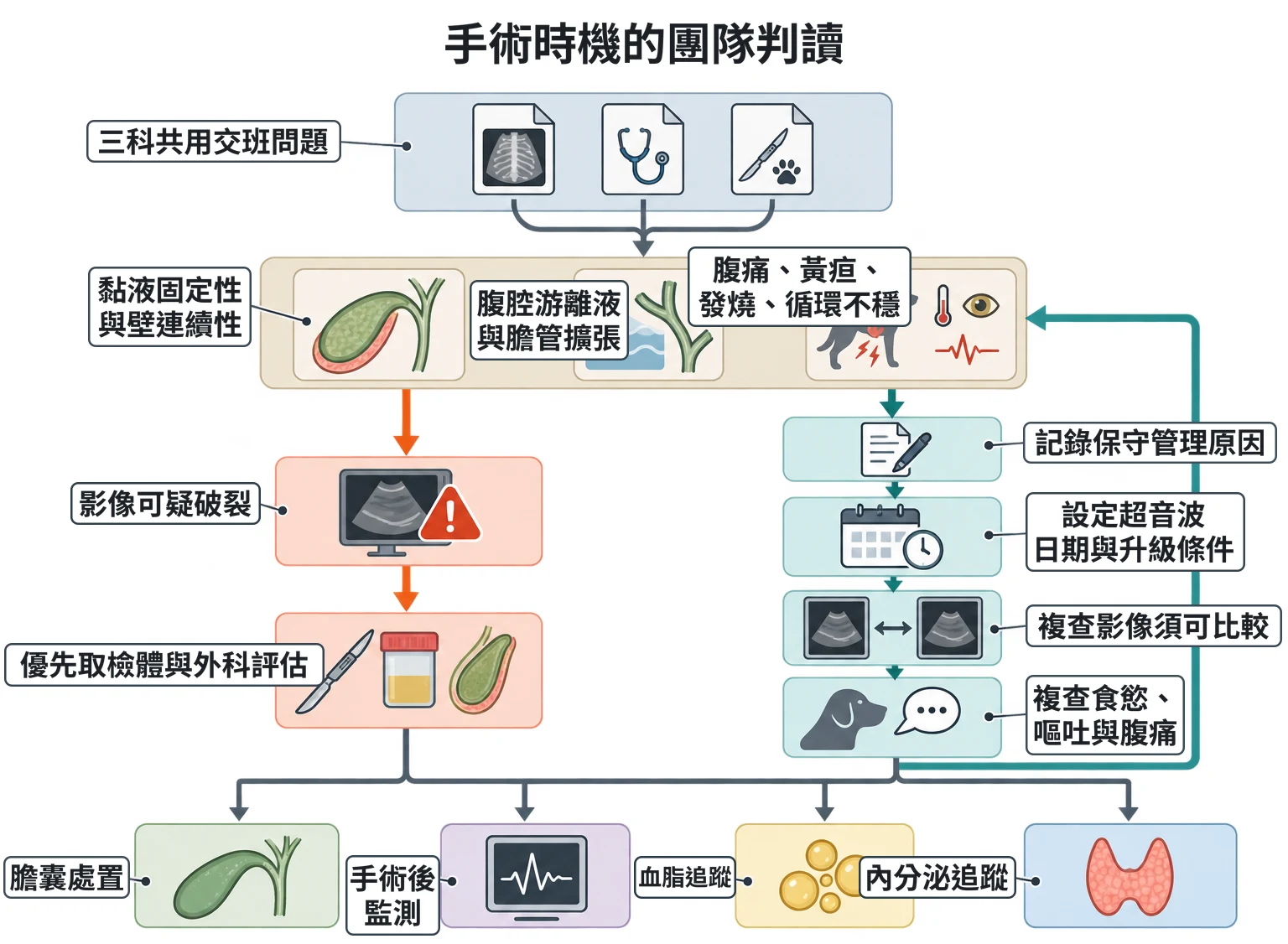 手術時機的團隊判讀教學插圖