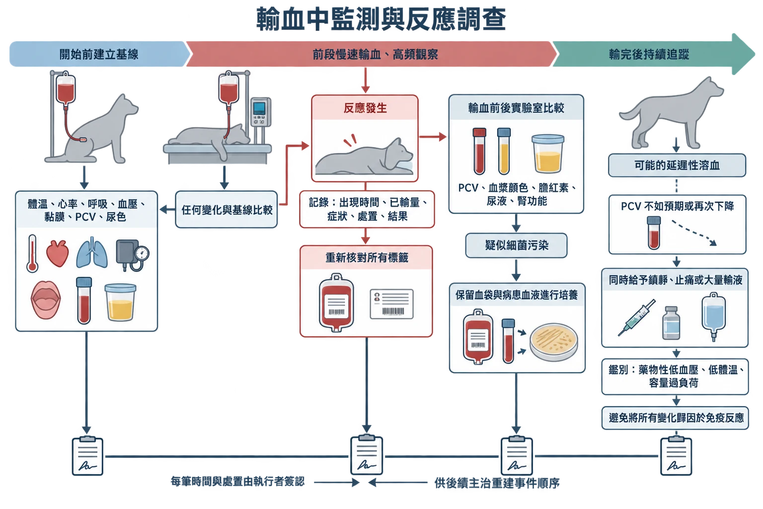 輸血中監測與反應調查教學插圖