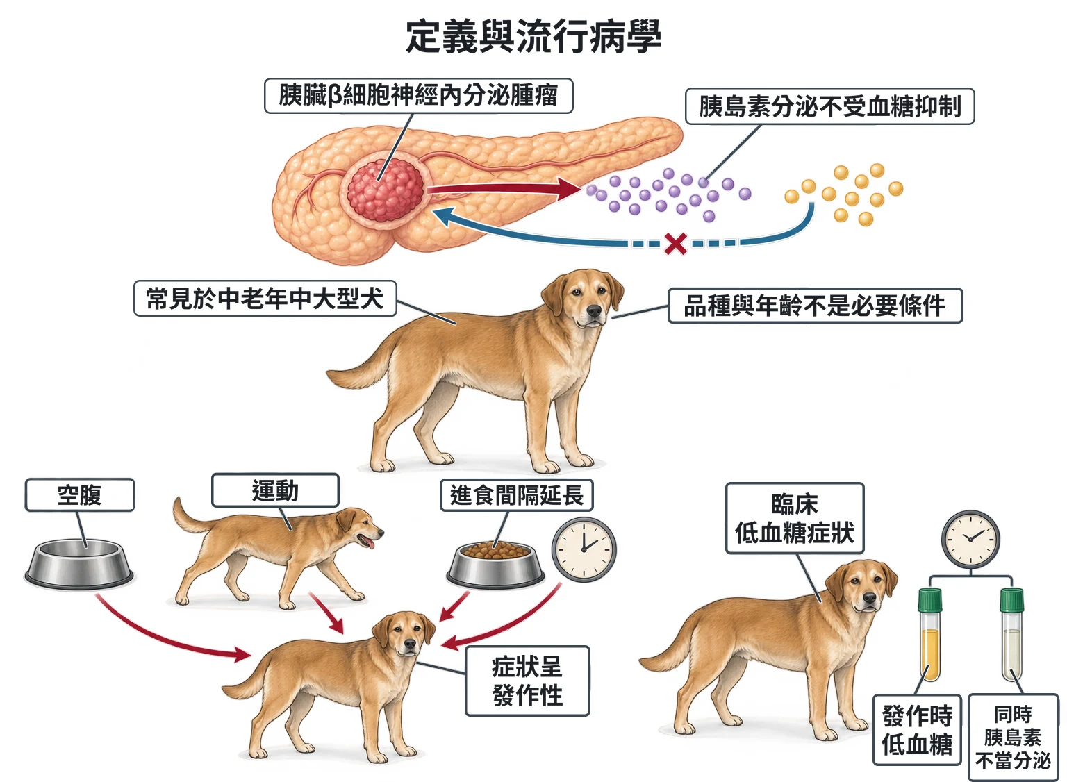 定義與流行病學教學插圖