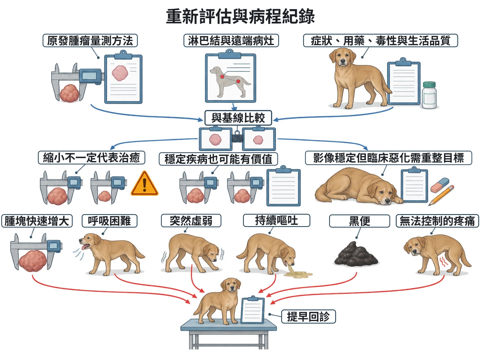 重新評估與病程紀錄教學插圖