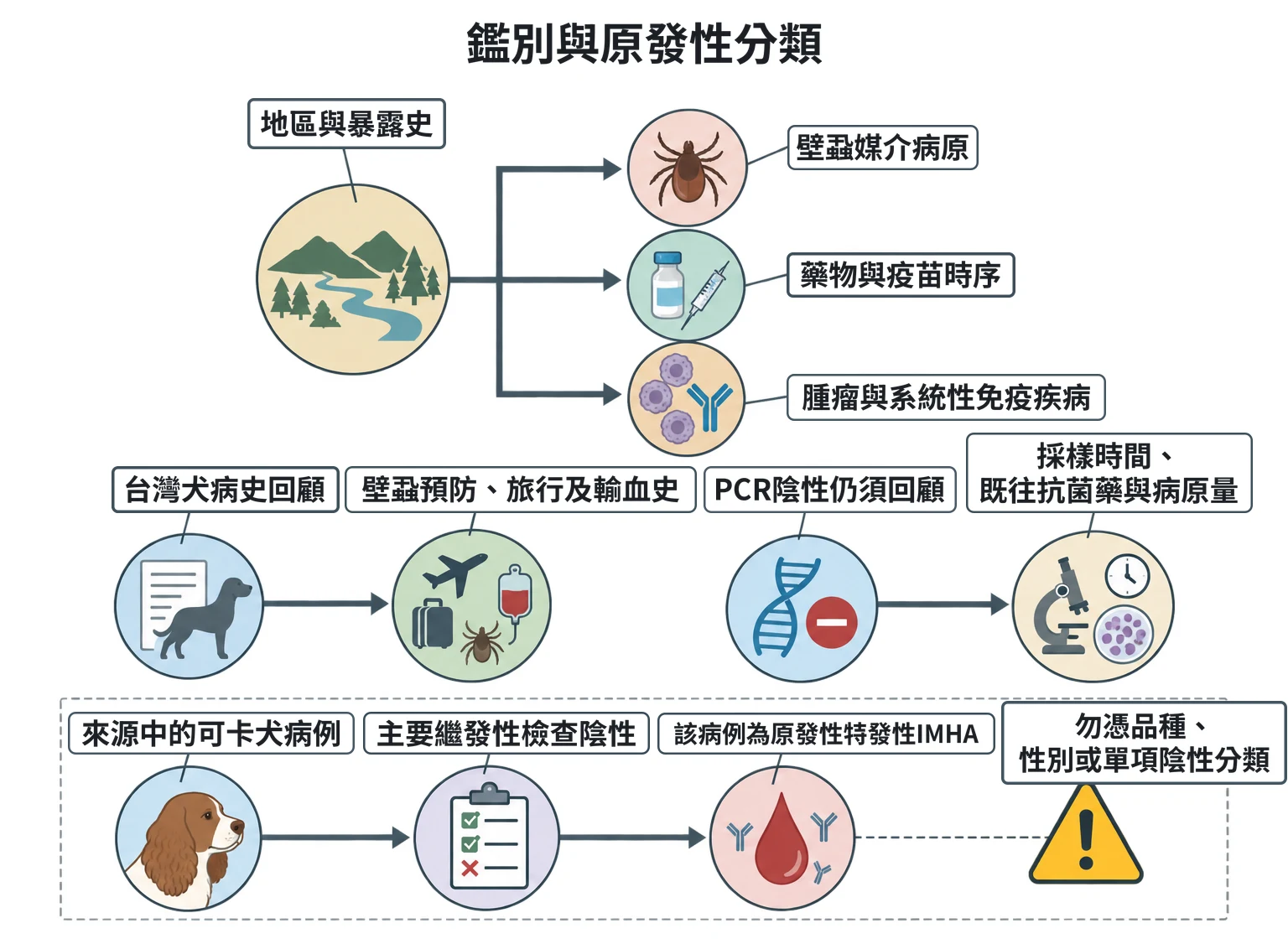 鑑別與原發性分類教學插圖