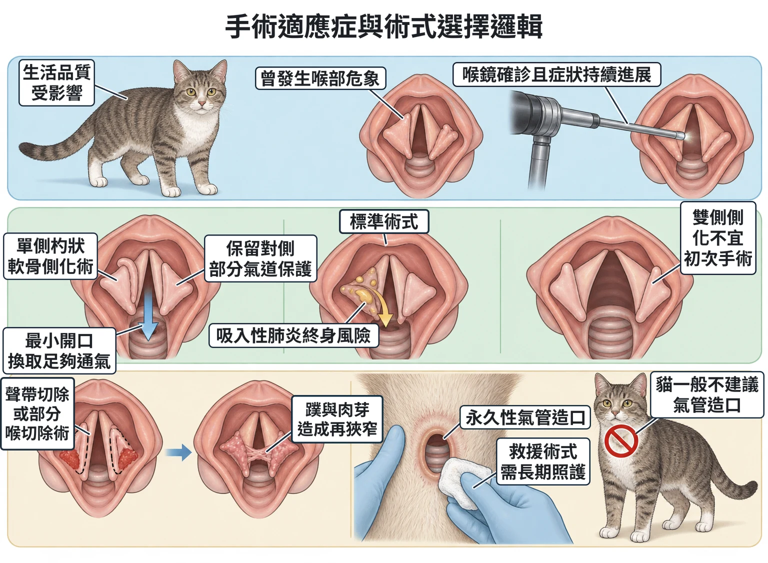 手術適應症與術式選擇邏輯教學插圖