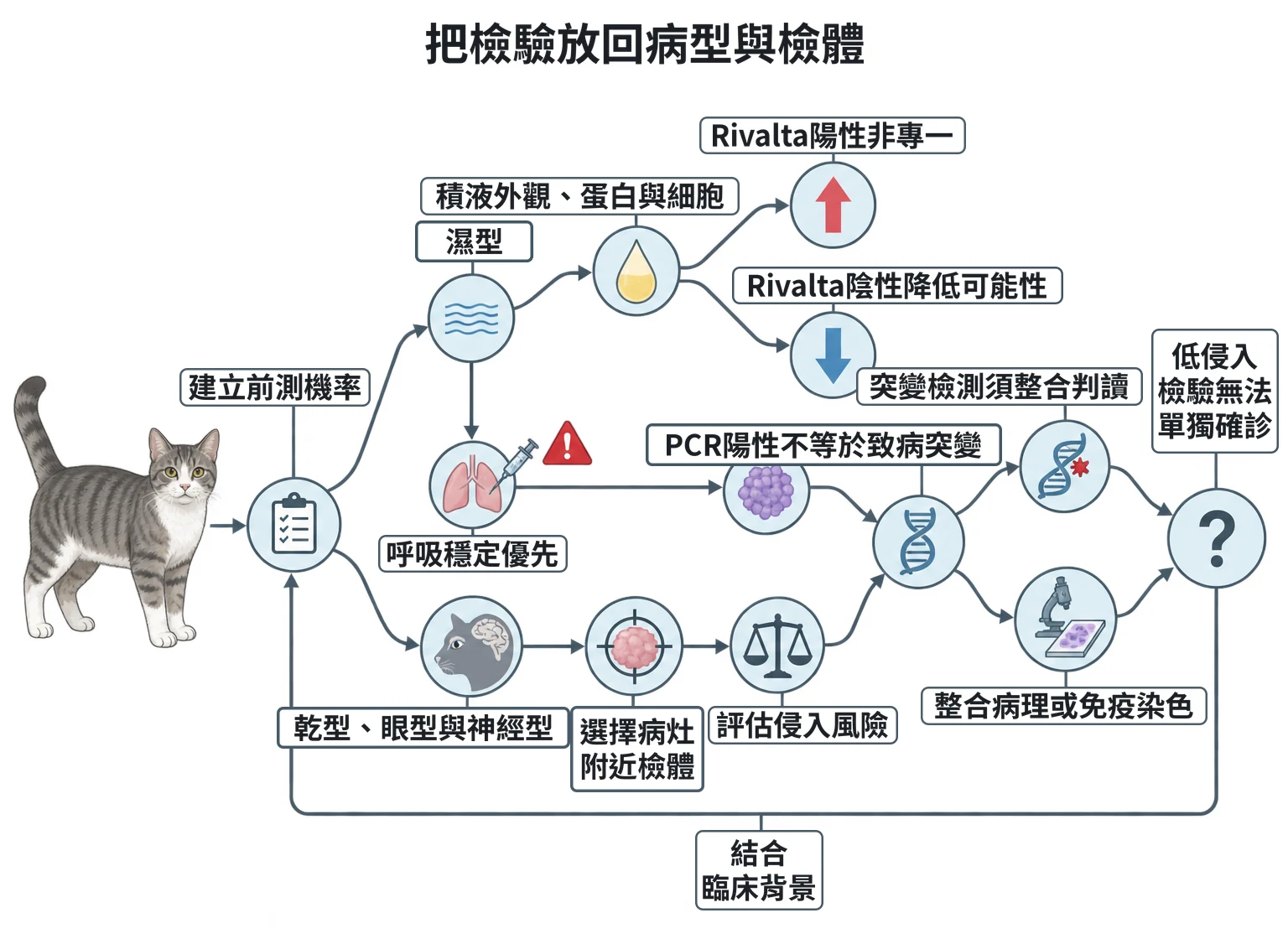 把檢驗放回病型與檢體教學插圖