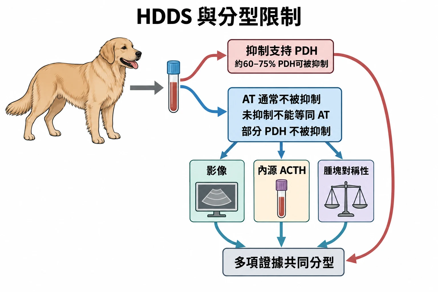 HDDS 與分型限制教學插圖