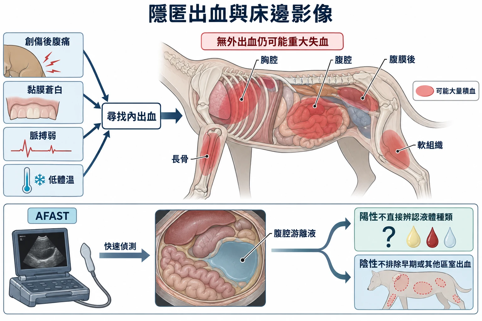 隱匿出血與床邊影像教學插圖
