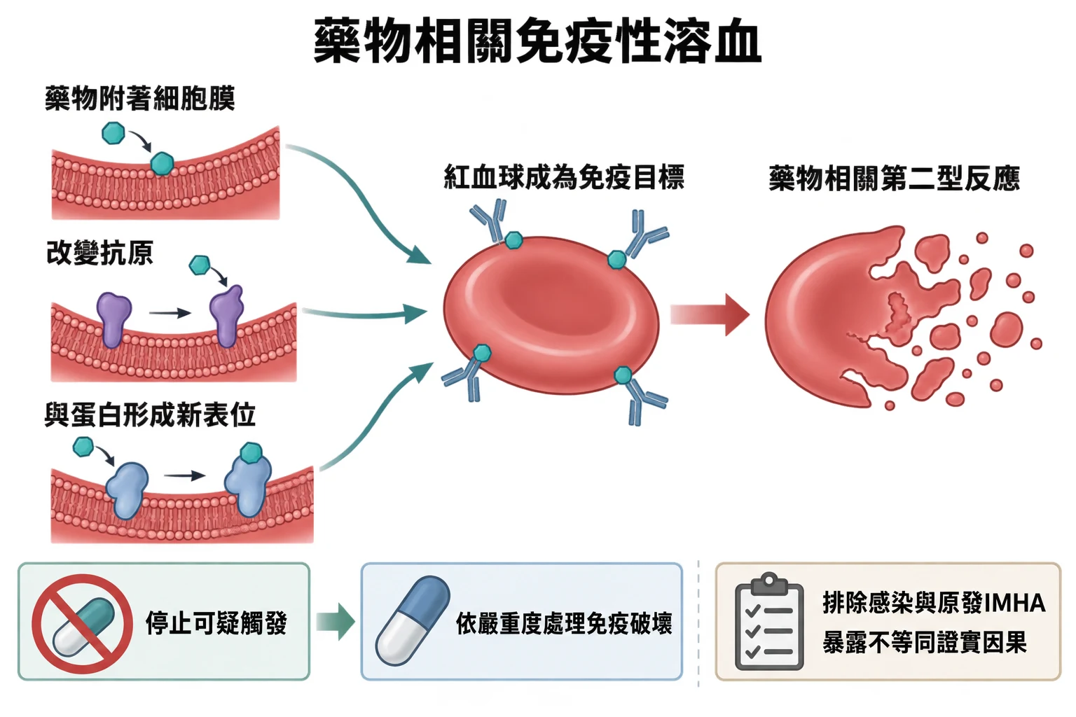 藥物相關免疫性溶血教學插圖