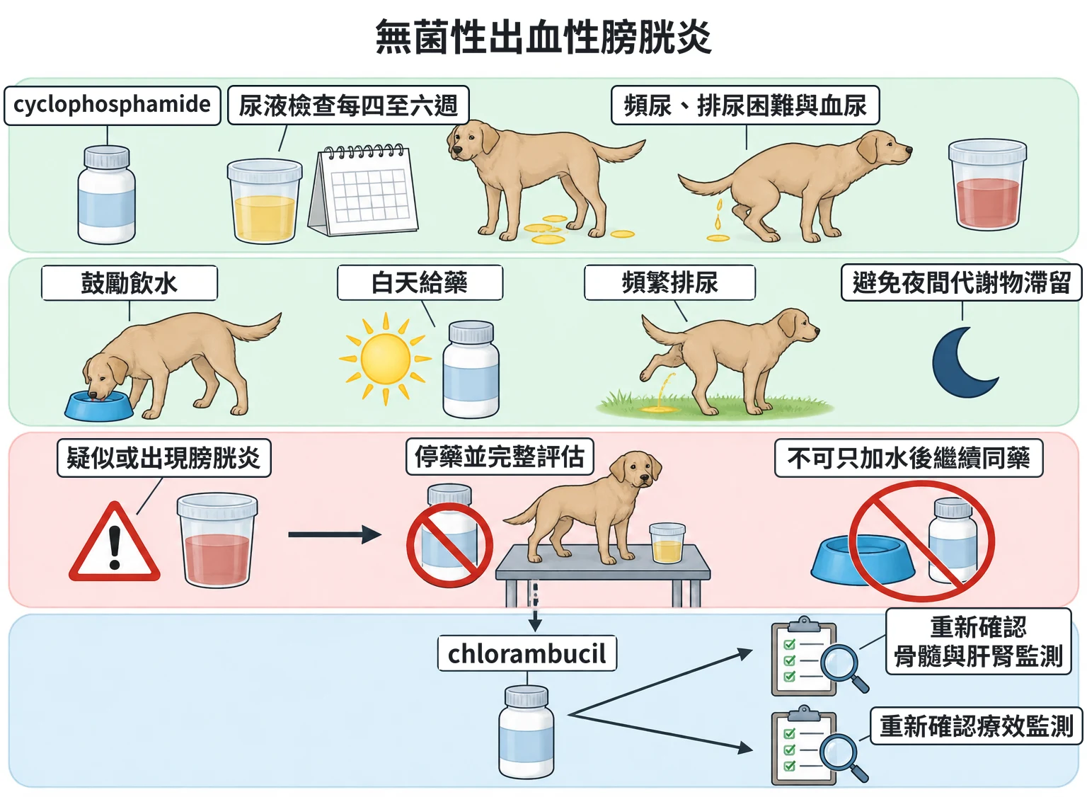 無菌性出血性膀胱炎教學插圖